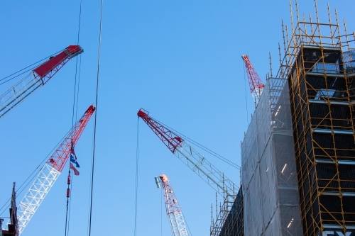 Several cranes operating in the Brisbane CBD