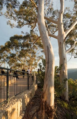 Side view of concrete pathway through bushland, with gumtrees and distant walkers