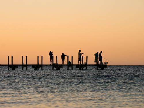 Silhouette of people fishing off a jetty at dusk