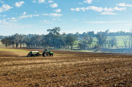 Sowing crop with tractor and combine seeder