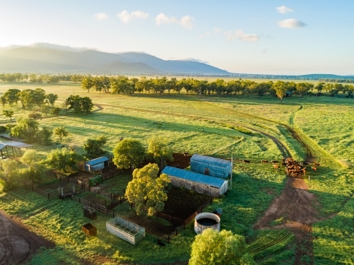Stockyard on green farm as seen from drone