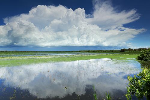 Storm over Mamakalu Wetlands, Kakadu National Park