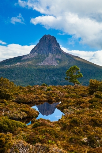 The craggy peak of Barn Bluff reflected in a small tarn along the Overland Track.
