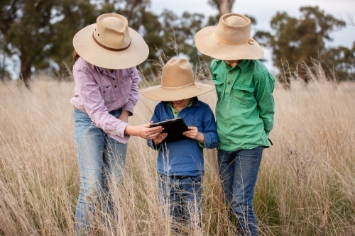 Three children using an ipad in the paddock on a farm