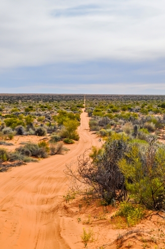 Track leading into the desert