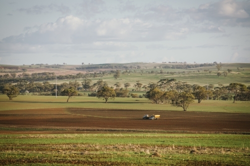 Tractor and truck in paddock at seeding in the Avon Valley region of Western Australia