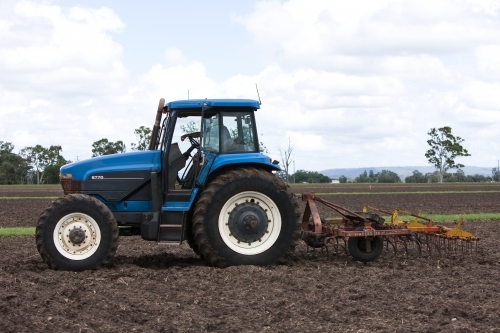 Tractor with Plow in Paddock