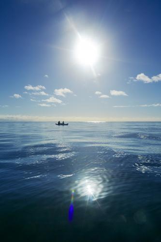 Two people paddle a kayak on a blue ocean