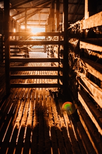 Vertical shot of wooden shearing shed with sunlight