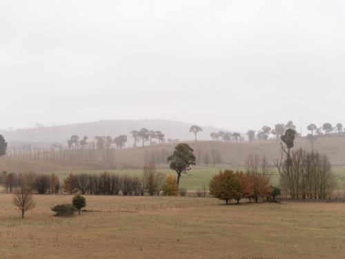 View across farmland of autumn trees and misty mountains
