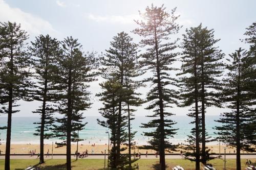 View of Manly surf beach through the pine trees along the beachfront