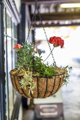 Vintage Hanging basket with red flower