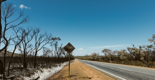 West Australian Bushfire aftermath along outback road
