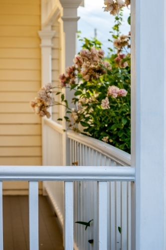 White verandah railing on a cottage with a garden