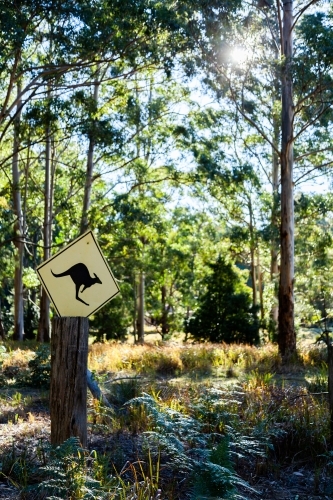 Wildlife ahead warning sign on fence post