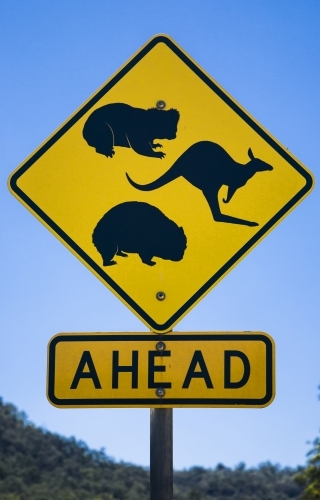 Wildlife ahead warning traffic sign, yellow and black against blue sky