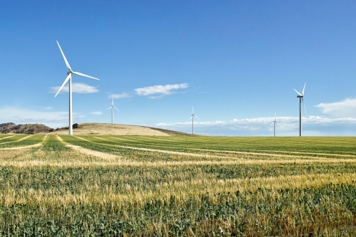 Wind farm with paddock and crops in foreground