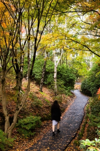 Woman walking along a garden path through the autumn coloured foliage at Mt Lofty