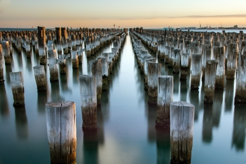 Wooden posts left behind in water at pier at Port Melbourne