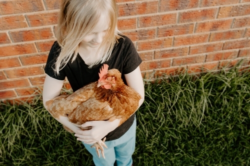 Young blonde girl holding her pet chicken looking at the chicken