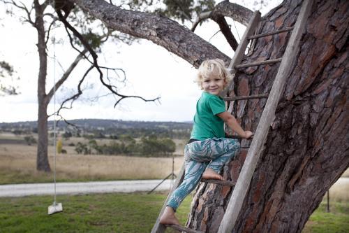Young boy climbing a wooden ladder up a tree in a country backyard