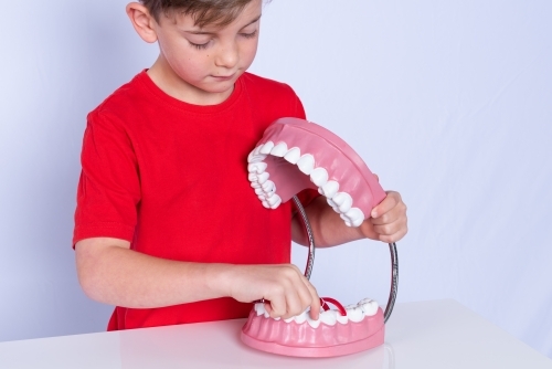 Young boy learning to floss teeth on oversized tooth model