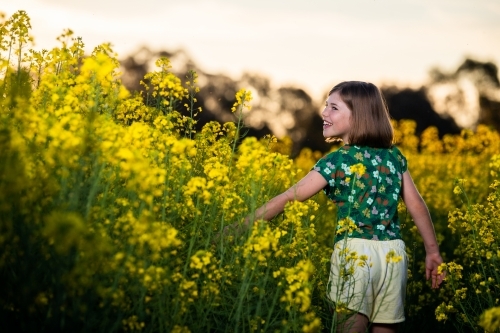 Young girl in canola crop