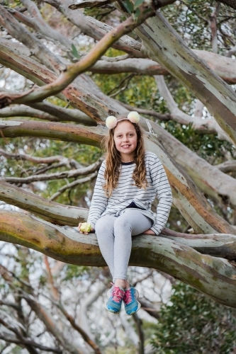 Young girl sits in a big gum tree.