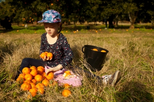 Young girl sitting with mandarins at a farm