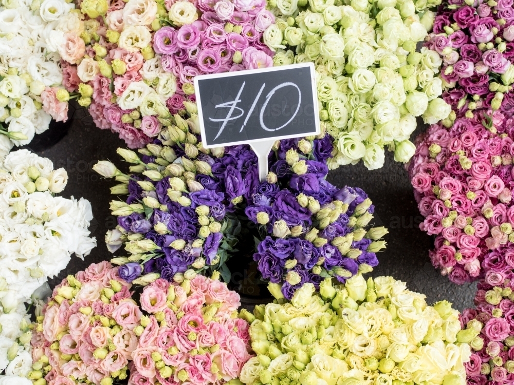 $10 flowers - Australian Stock Image
