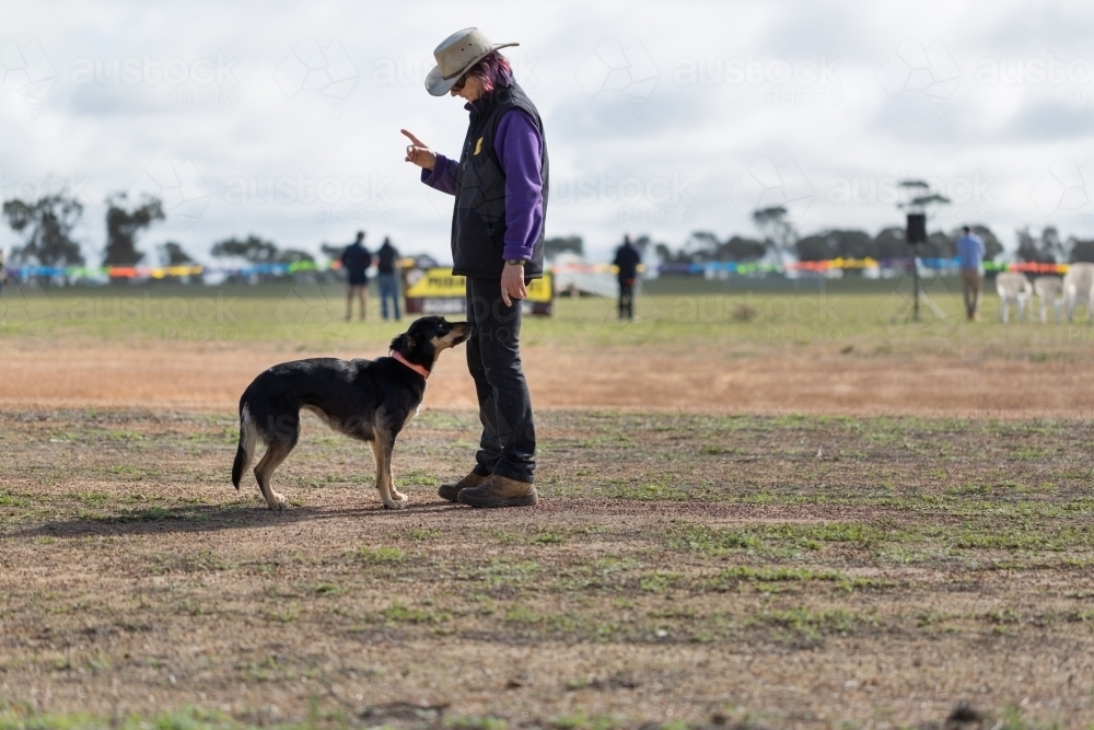 Sheepdog trainer with kelpie dog at ag show - Australian Stock Image