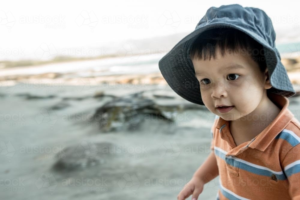 2 year old mixed race boy looks for shells on a rocky coast - Australian Stock Image