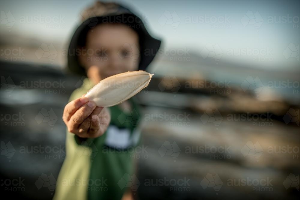 4 year old mixed race boy finds a cuttlefish bone on a rocky coast - Australian Stock Image