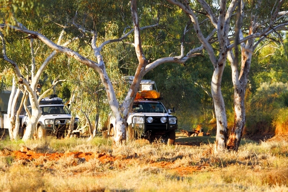4WD camping among gumtrees in the outback. - Australian Stock Image