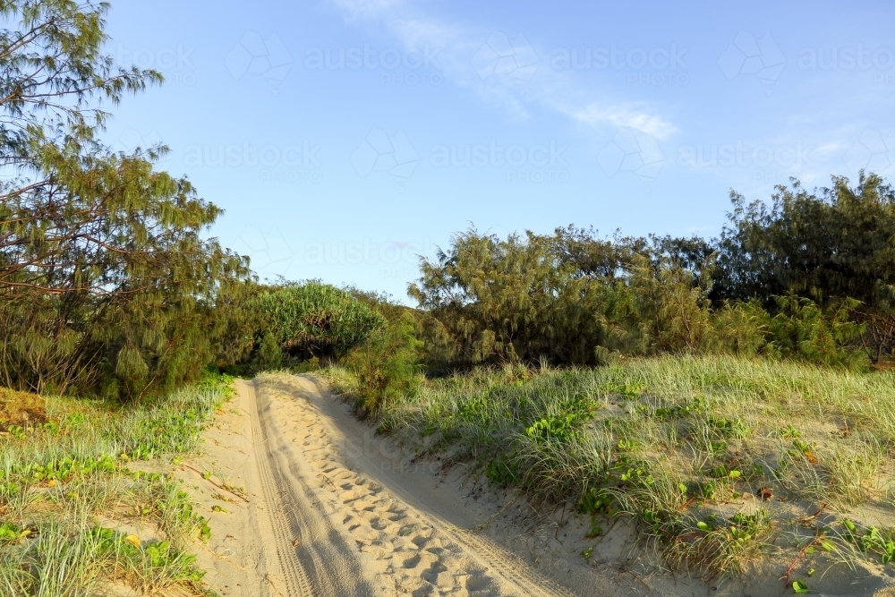 4WD path on a beach track through sand dunes. - Australian Stock Image