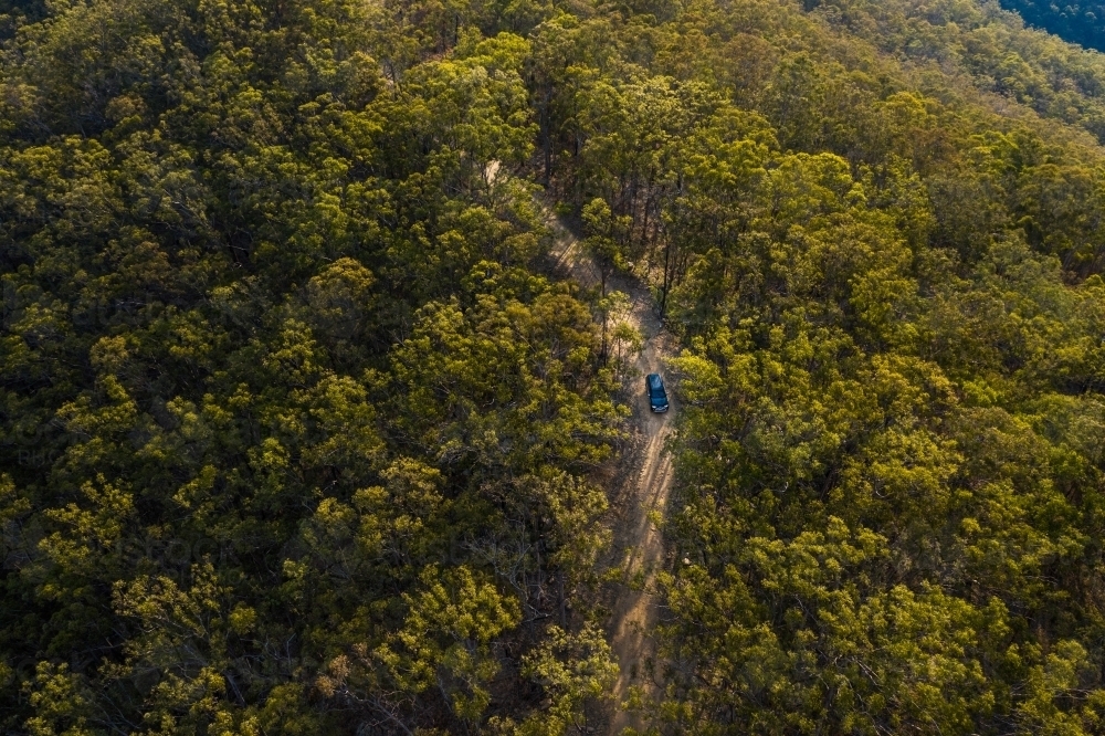 4WD vehicle driving through trees on dirt road - Australian Stock Image