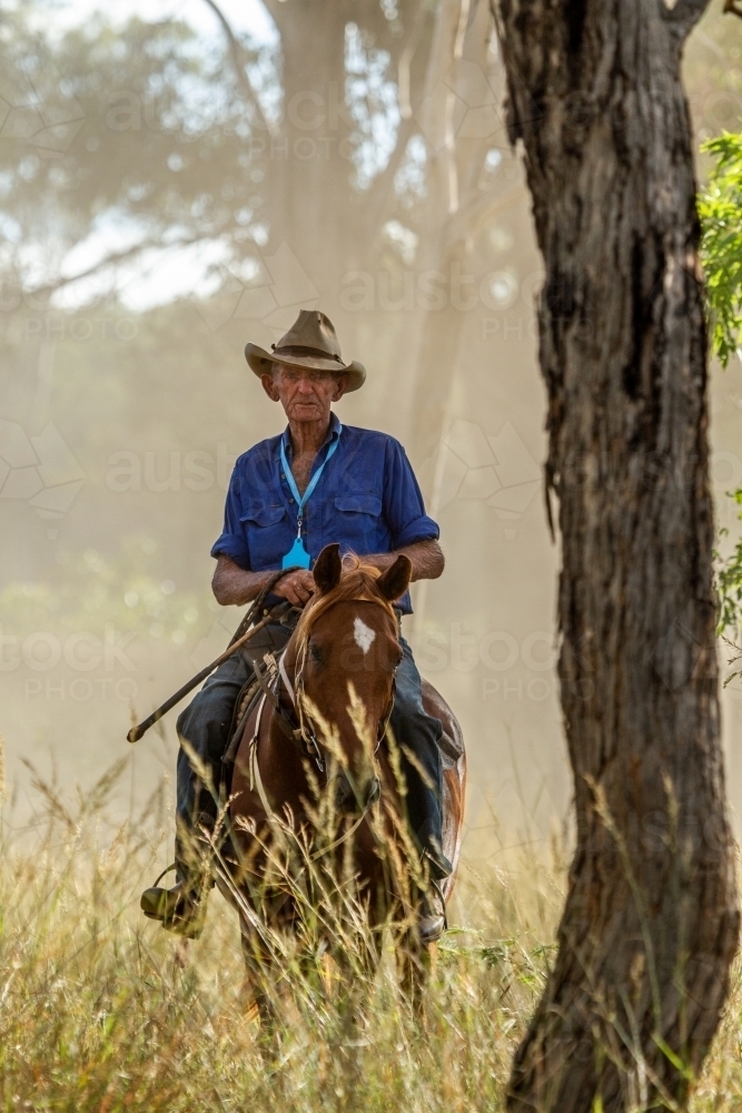 A 90 year old stockman on his horse in light scrub. - Australian Stock Image