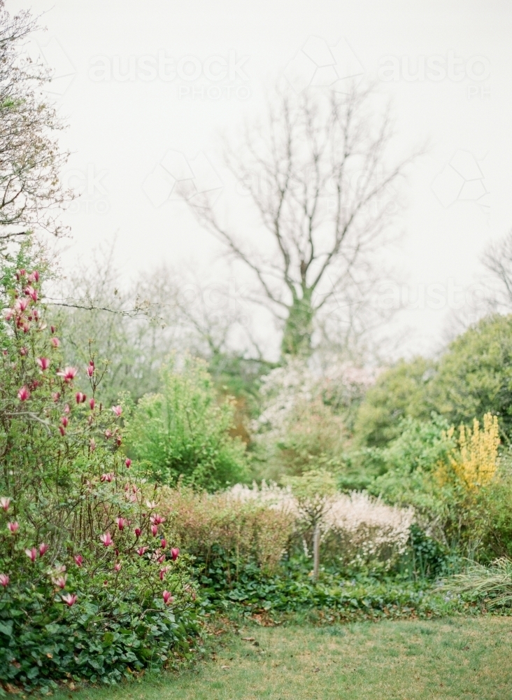 A beautiful and lush gardens in spring - Australian Stock Image