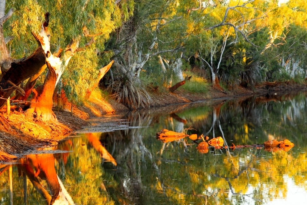A billabong in the Pilbara region of Western Australia - Australian Stock Image