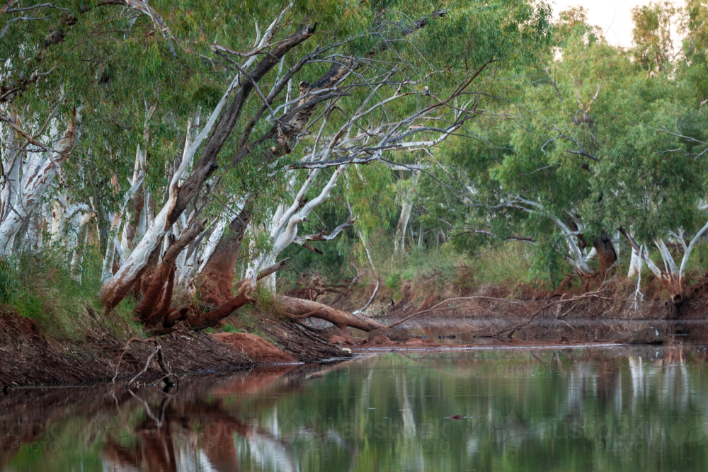 A billabong in the Pilbara region of Western Australia - Australian Stock Image