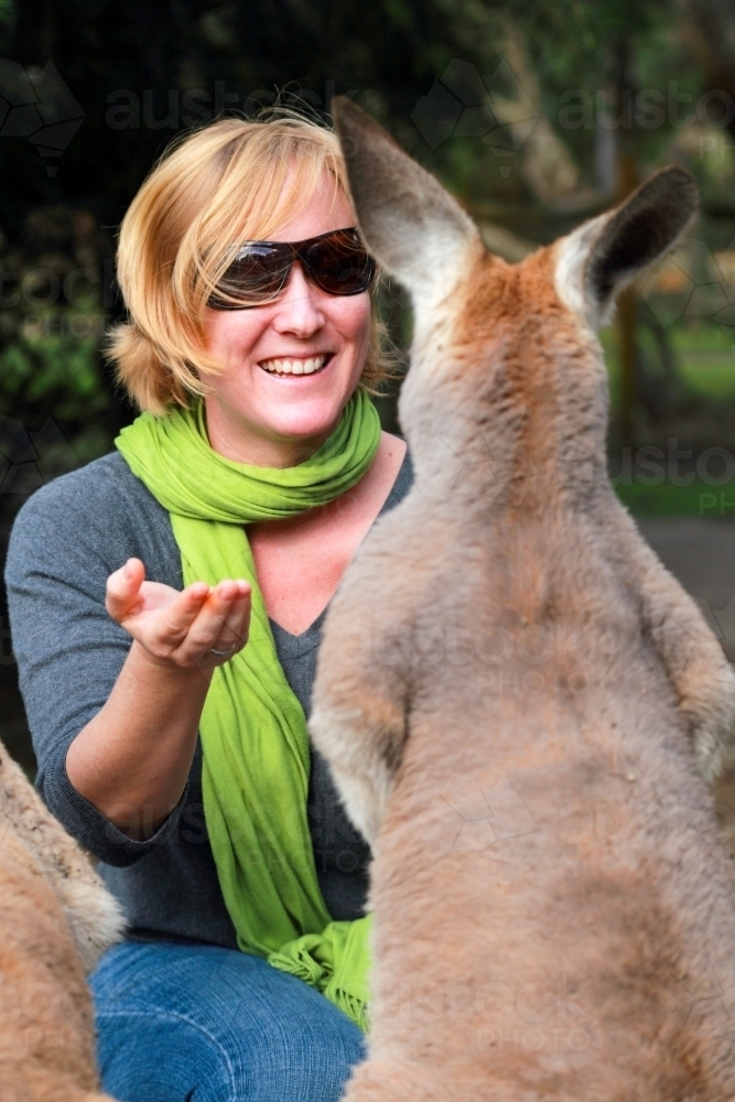A blond lady in her mid-thirties is joyous in her interaction with a kangaroo - Australian Stock Image