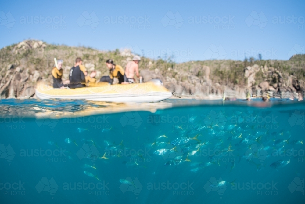 A boat of snorkelers heading out to swim with fish - Australian Stock Image