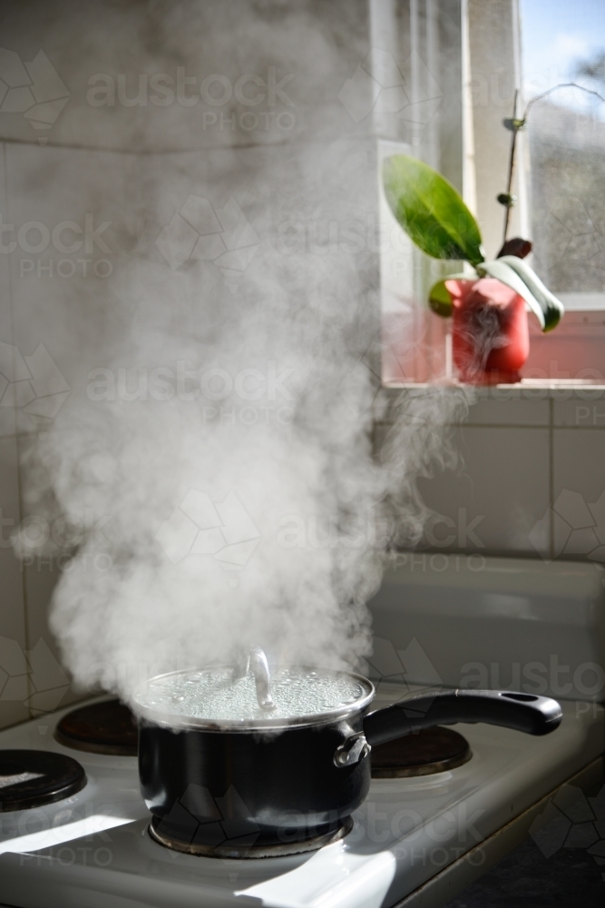 Image of A boiling pot on a stove releases lots of steam into the morning sun Austockphoto