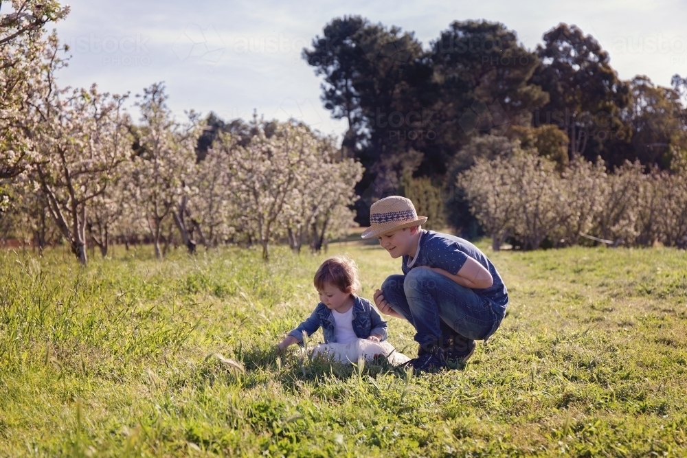 A Boy Crouching And Playing With His Little Sister In An Orchard - Australian Stock Image