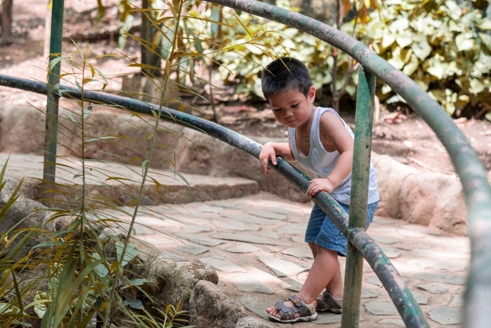 A boy exploring a garden in Cairns - Australian Stock Image