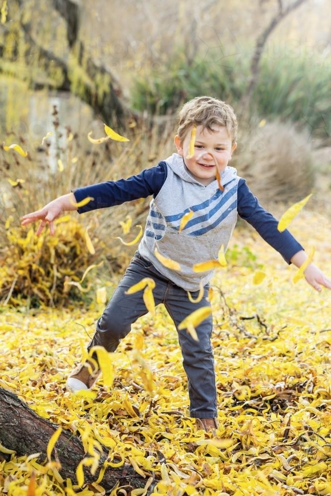 A boy playing in Autumn leaves - Australian Stock Image