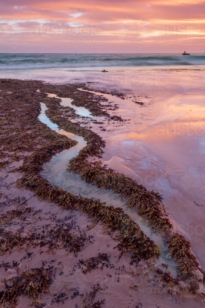 a bright pink sunset over a winding rock pool and sandy beach - Australian Stock Image
