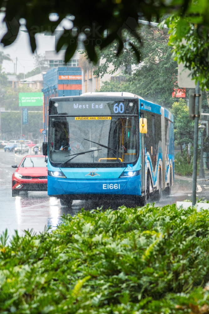 A Brisbane Bus on Ann Street Newstead in the Rain - Australian Stock Image