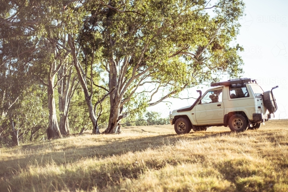 A camping van parked on dry grass under gum trees - Australian Stock Image