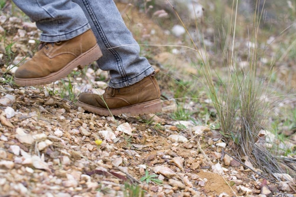 A child bush walking. - Australian Stock Image